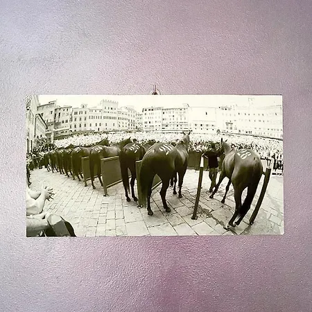 Le Di Livia Bed & Breakfast Siena