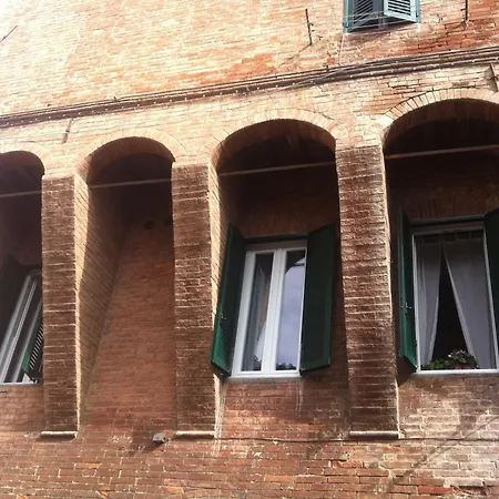 Le Di Livia Siena