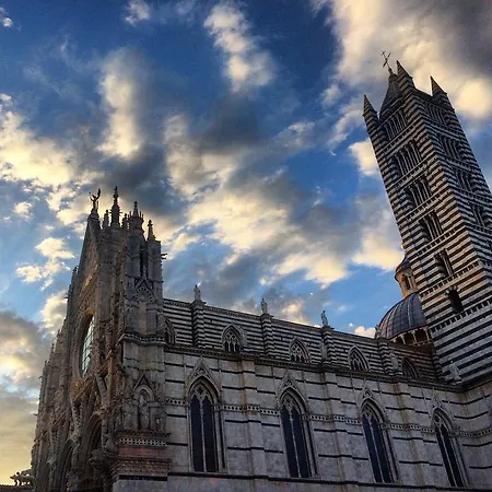 Le Di Livia Siena