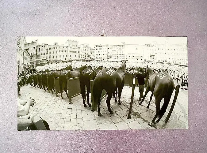 Le Di Livia Panzió Siena